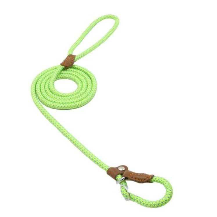 Durable Nylon Dog Collar Set for Stylish Adventures