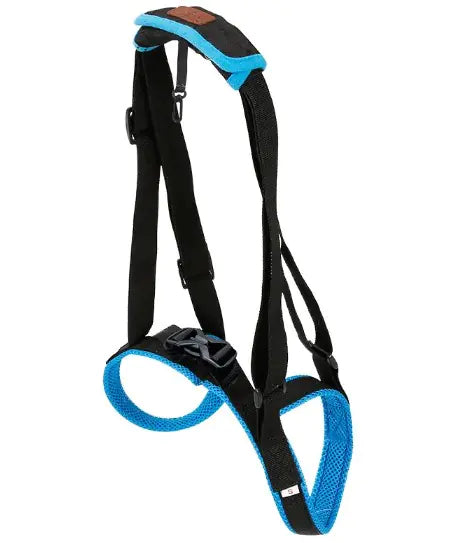 Pet Leg Support for Dogs - Enhanced Mobility and Comfort