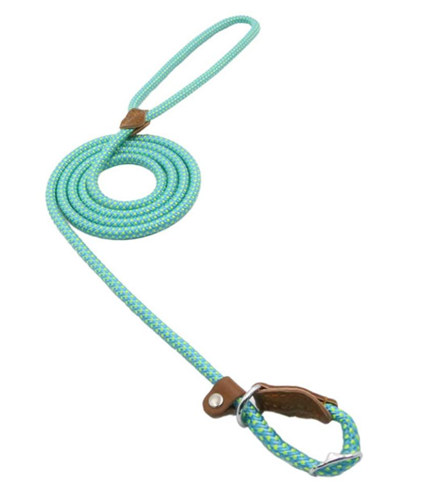 Durable Nylon Dog Collar Set for Stylish Adventures