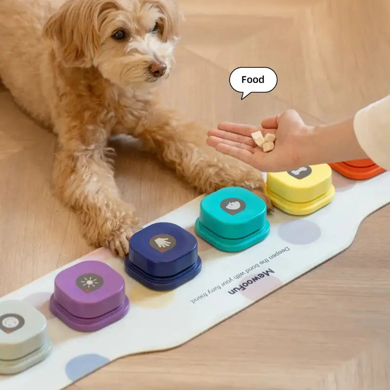 Engage and Inspire with the Recordable Talking Button - Perfect for Training