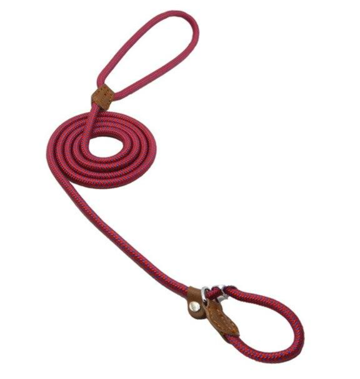 Durable Nylon Dog Collar Set for Stylish Adventures