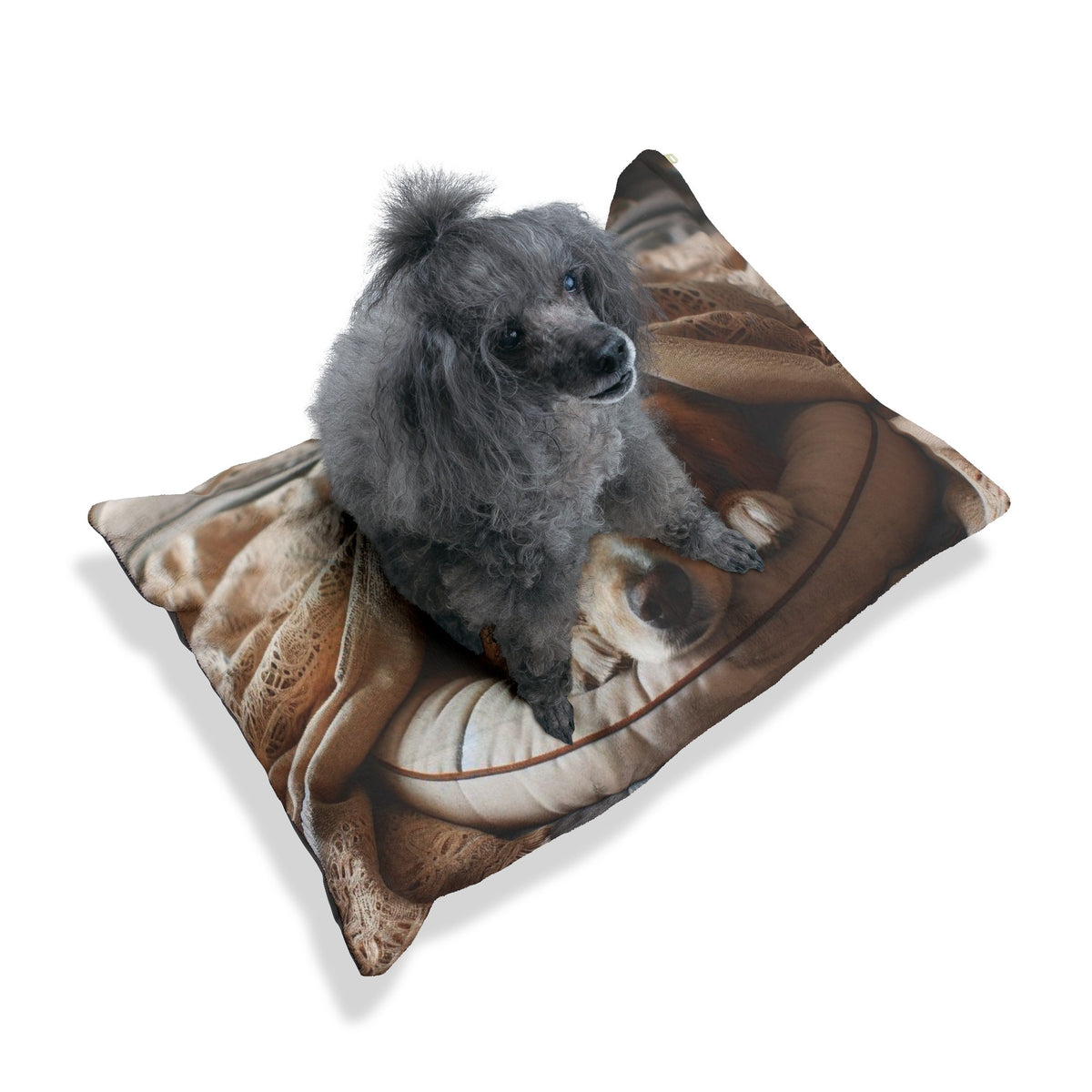 Pet Bed - OLM Store