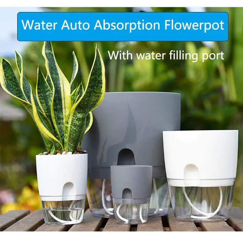 Transparent Double-Layer Self-Watering Flower Pot - OLM Store
