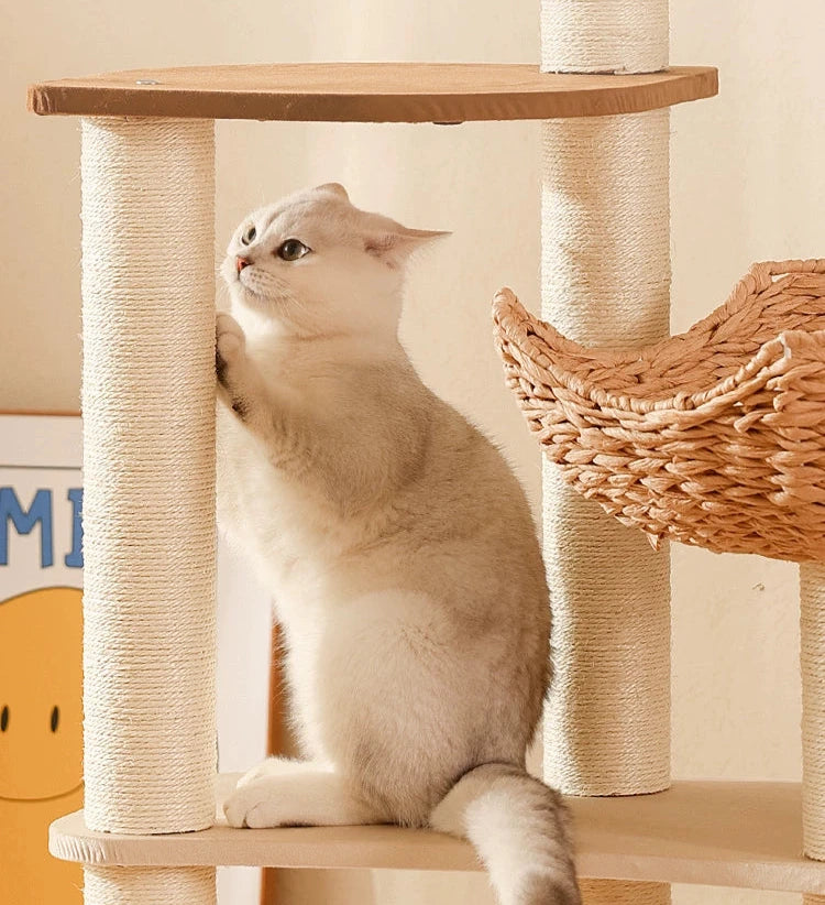 Cat Climbing Frame by MADDEN - The Ultimate Playground for Your Feline Friends