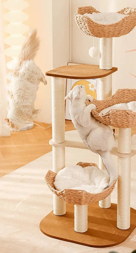 Cat Climbing Frame by MADDEN - The Ultimate Playground for Your Feline Friends