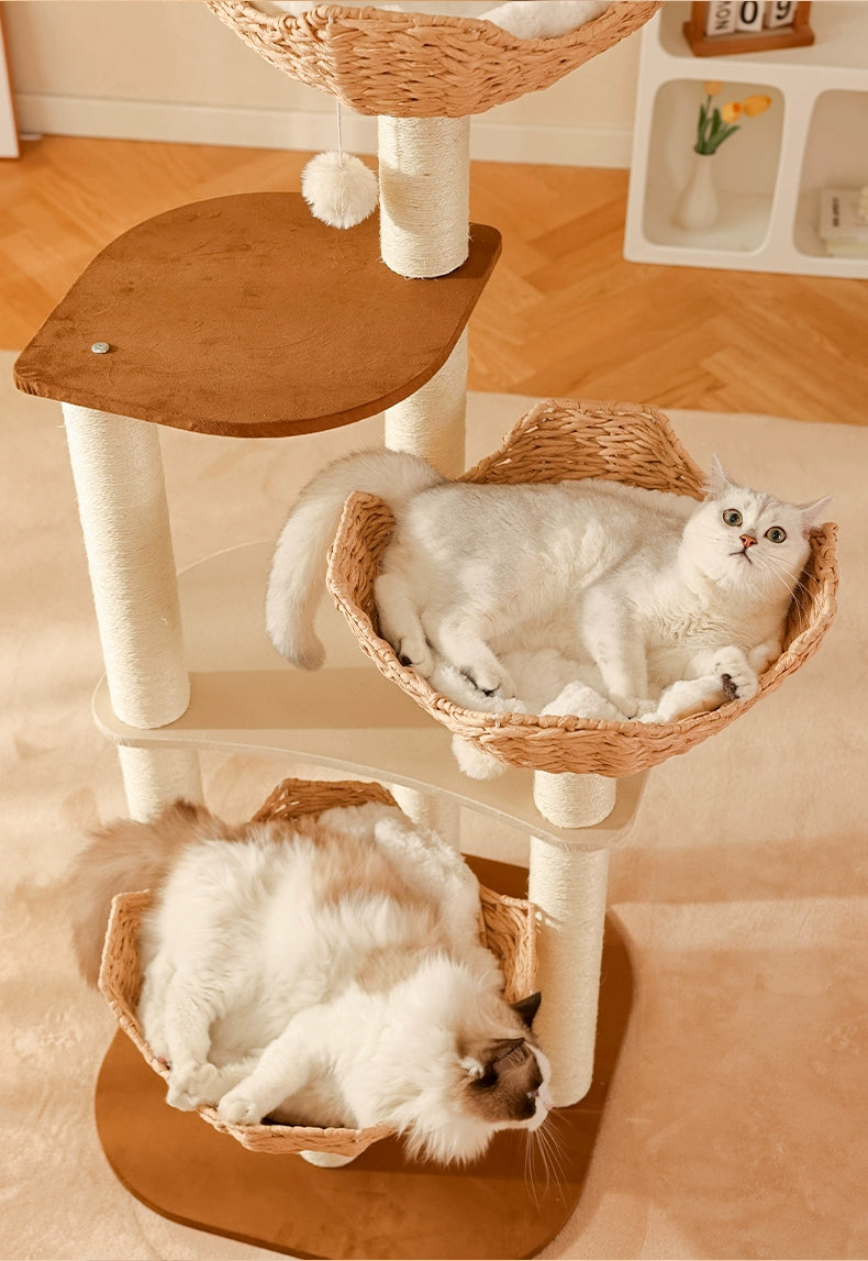 Cat Climbing Frame by MADDEN - The Ultimate Playground for Your Feline Friends