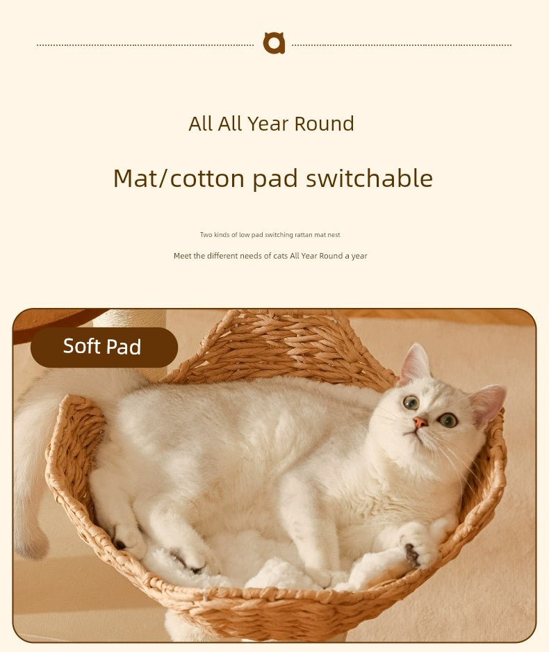 Cat Climbing Frame by MADDEN - The Ultimate Playground for Your Feline Friends