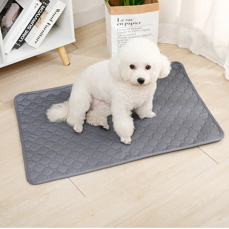 Ultimate Washable Reusable Pet Pee Pad for a Clean and Cozy Home