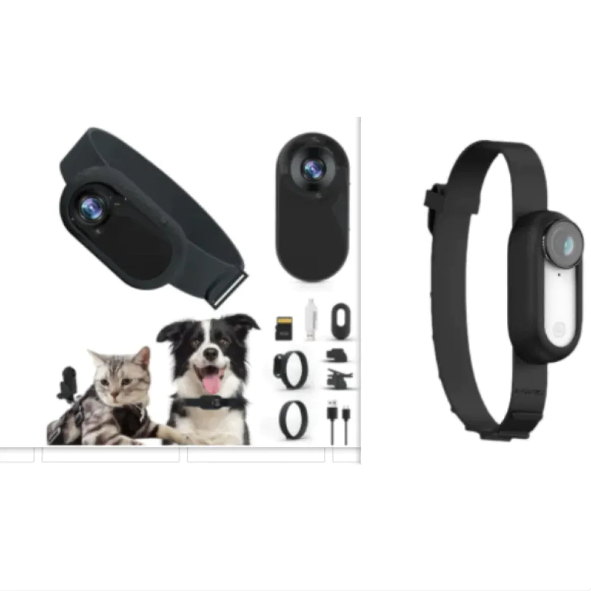 Discover Your Pet's World with the Wireless Pet Collar Camera