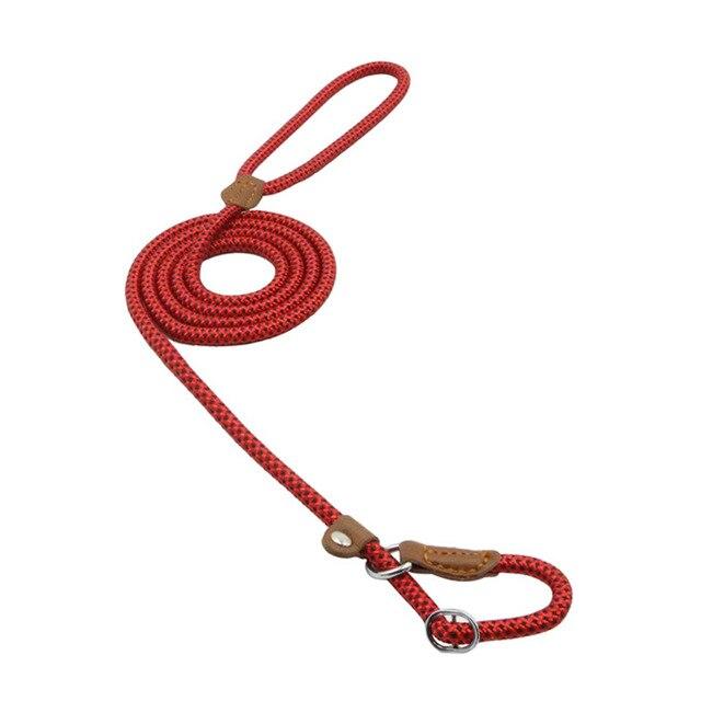 Durable Nylon Dog Collar Set for Stylish Adventures