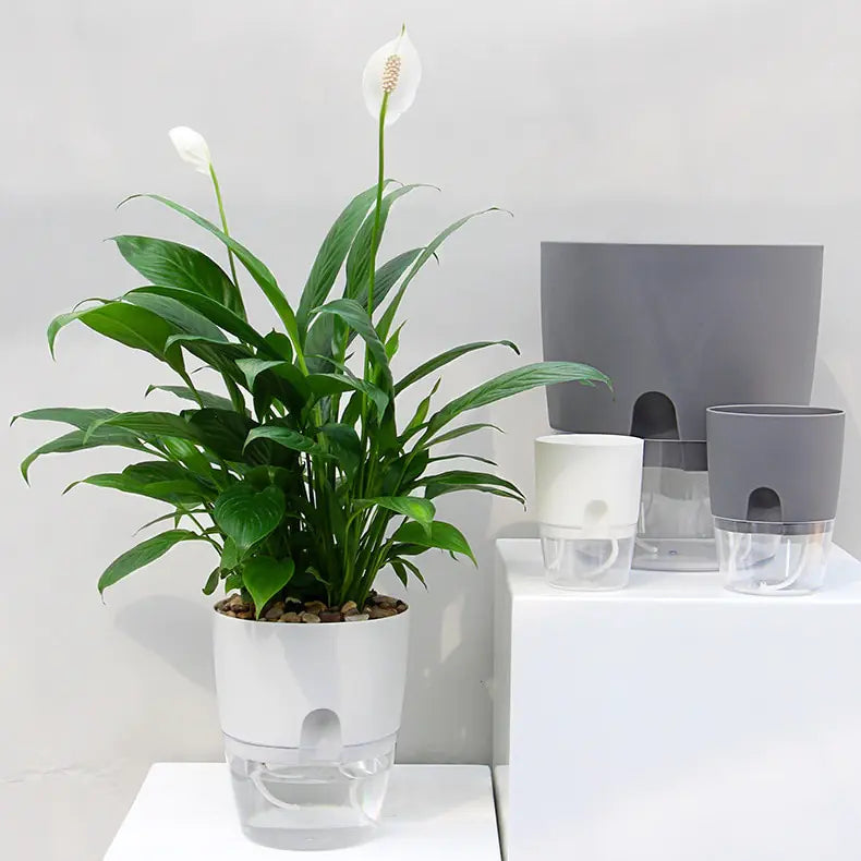 Transparent Double-Layer Self-Watering Flower Pot - OLM Store