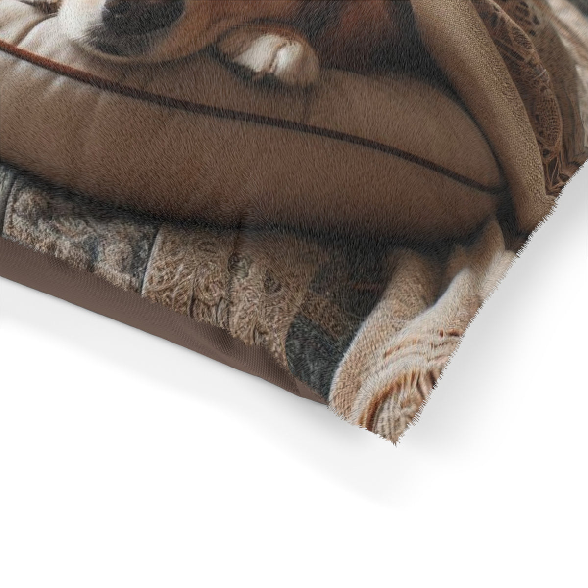 Pet Bed - OLM Store