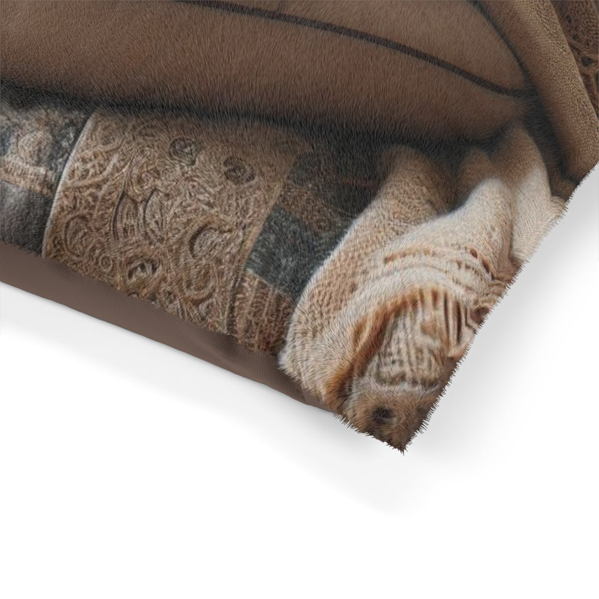 Pet Bed - OLM Store