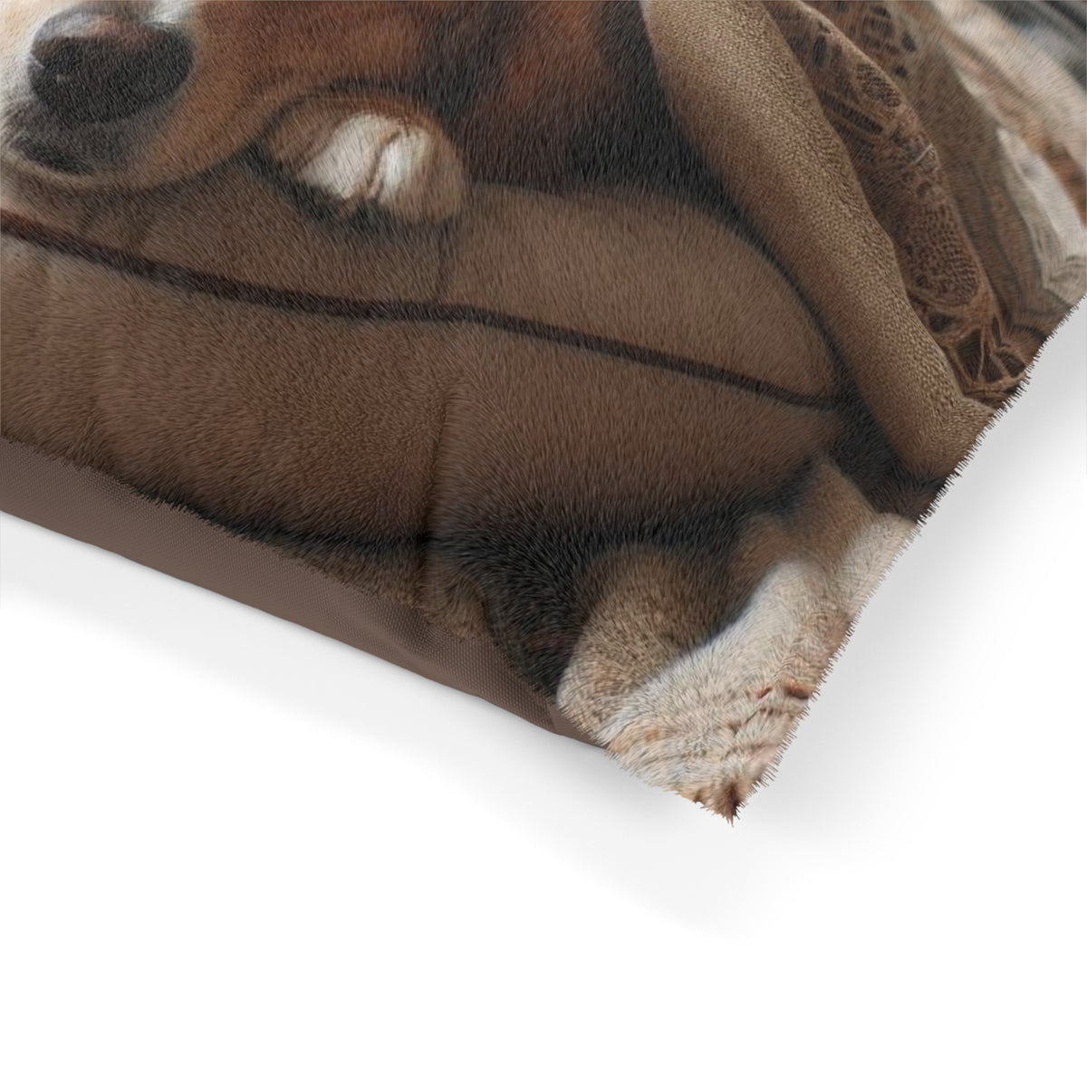 Pet Bed - OLM Store