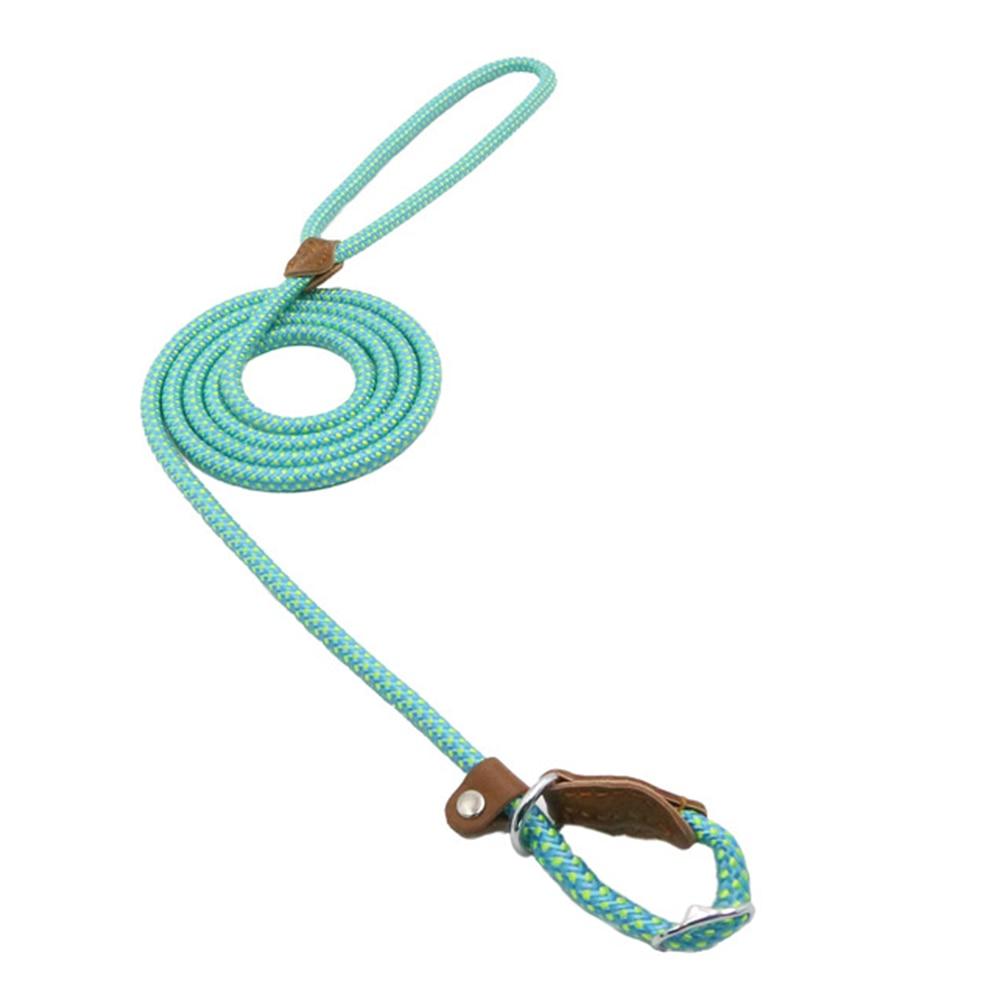 Durable Nylon Dog Collar Set for Stylish Adventures