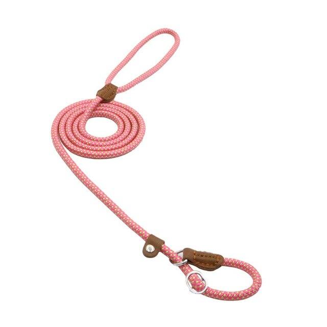 Durable Nylon Dog Collar Set for Stylish Adventures