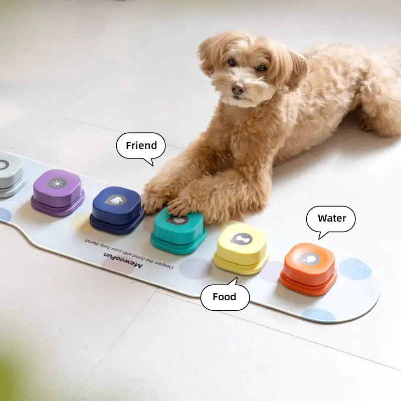 Engage and Inspire with the Recordable Talking Button - Perfect for Training