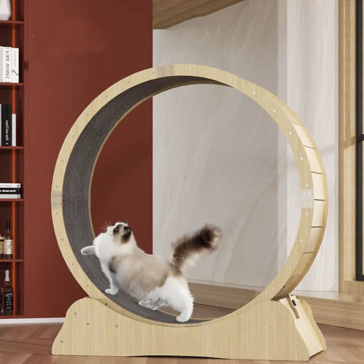 Purr Fit Cat Fitness Treadmill: Keep Your Feline Active and Happy