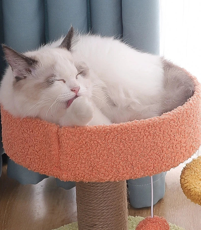 Ultimate Cat Tree Jumping Platform for Elevated Play and Comfort