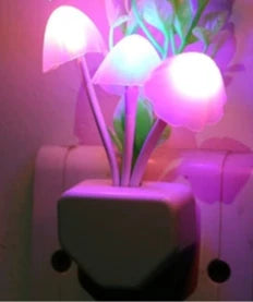 LED Night Lamp - OLM Store