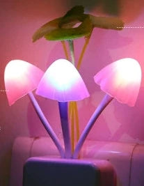LED Night Lamp - OLM Store