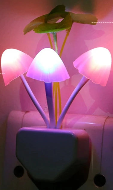 LED Night Lamp - OLM Store