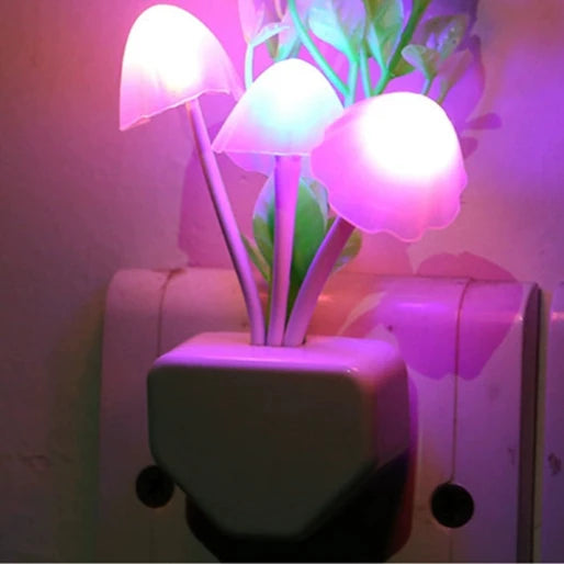 LED Night Lamp - OLM Store