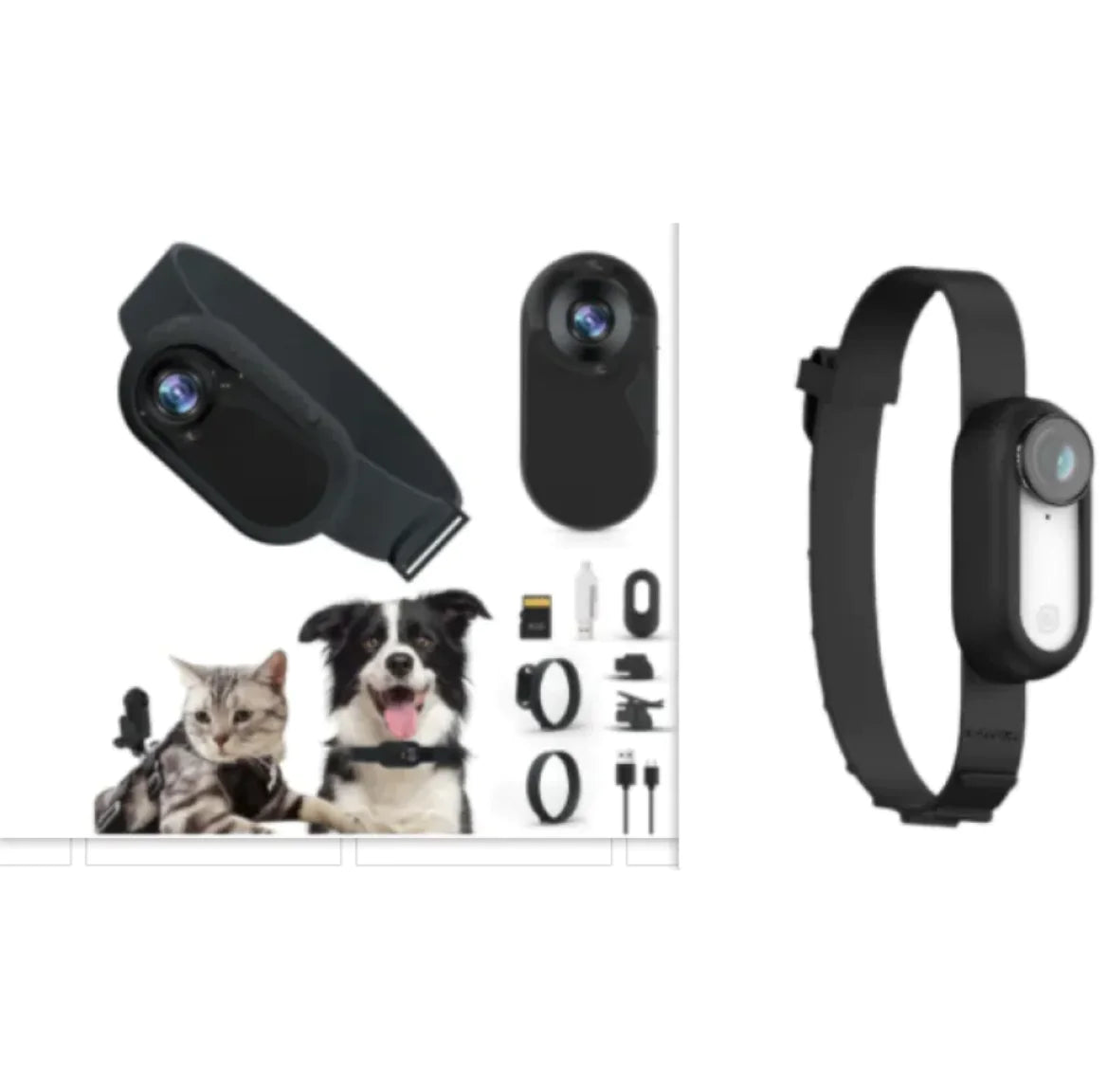 Discover Your Pet's World with the Wireless Pet Collar Camera
