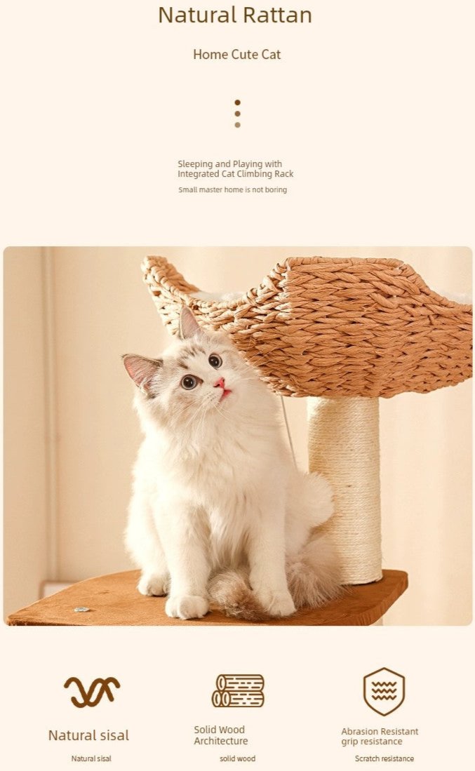 Cat Climbing Frame by MADDEN - The Ultimate Playground for Your Feline Friends