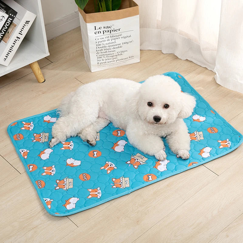 Ultimate Washable Reusable Pet Pee Pad for a Clean and Cozy Home