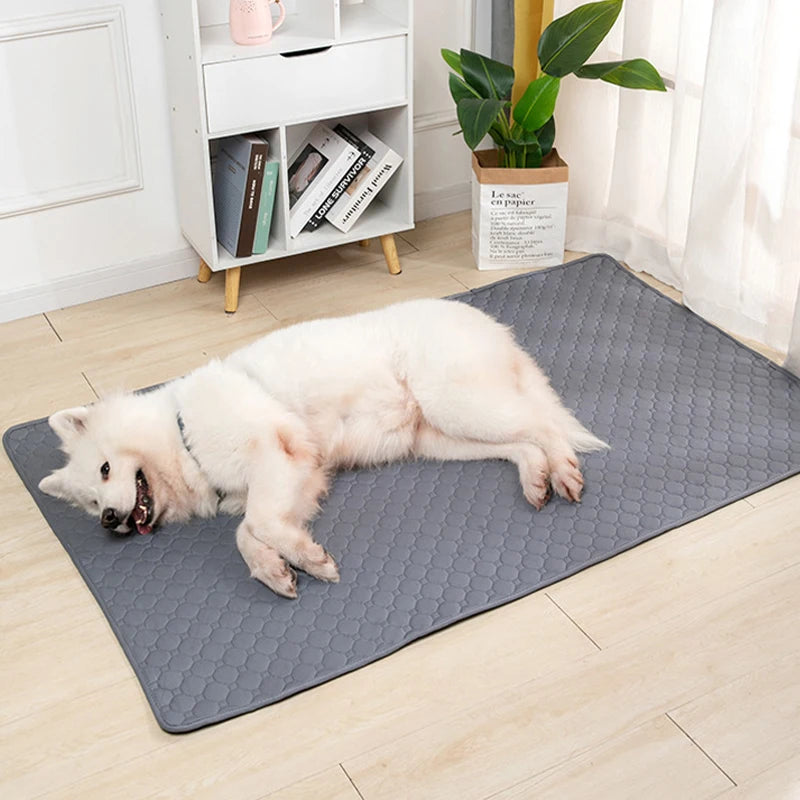 Ultimate Washable Reusable Pet Pee Pad for a Clean and Cozy Home