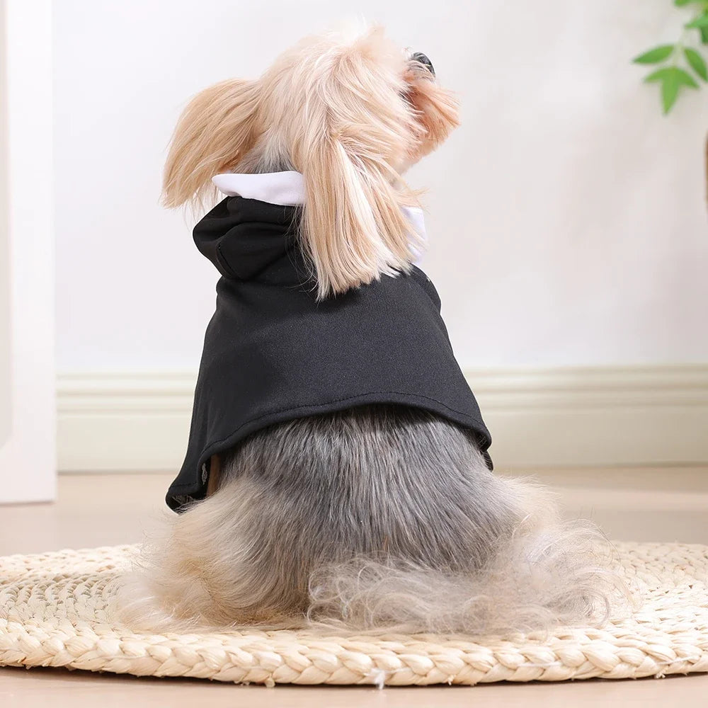 Hilarious Halloween Pet Nun Costume: Dress Your Cat or Dog as a Holy Spokespet!
