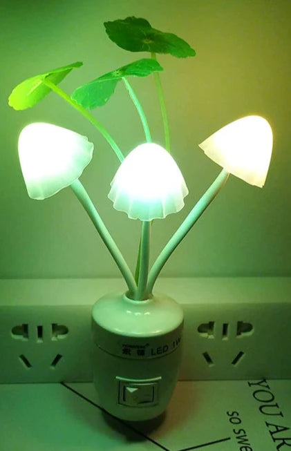 LED Night Lamp - OLM Store