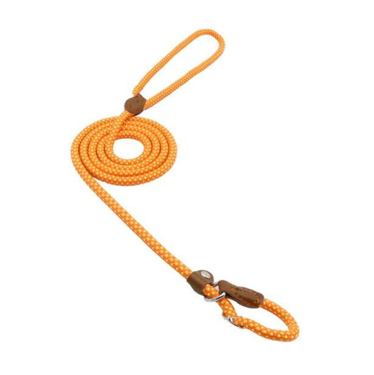 Durable Nylon Dog Collar Set for Stylish Adventures