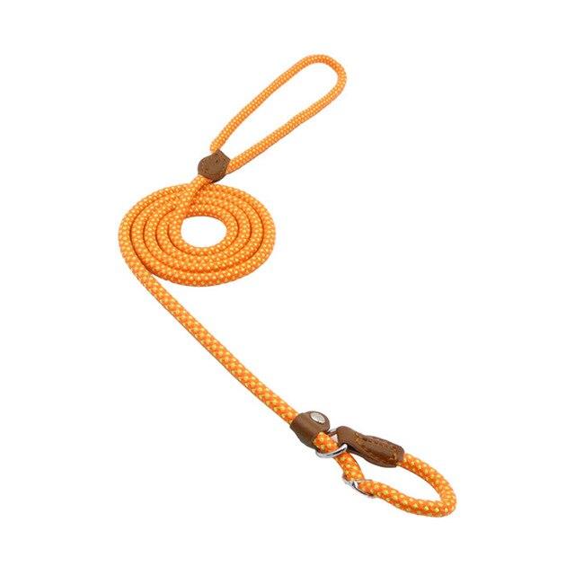 Durable Nylon Dog Collar Set for Stylish Adventures