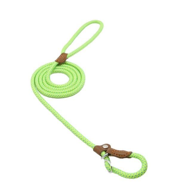 Durable Nylon Dog Collar Set for Stylish Adventures