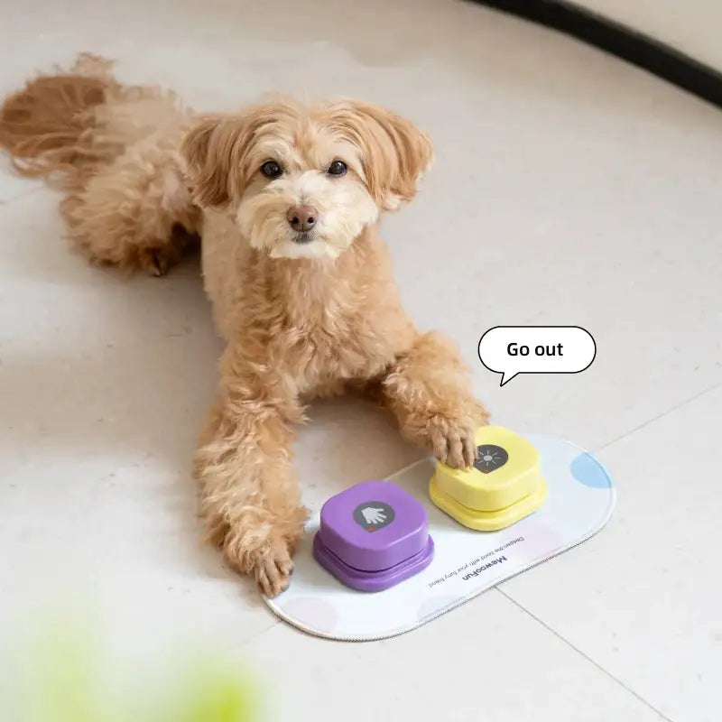 Engage and Inspire with the Recordable Talking Button - Perfect for Training