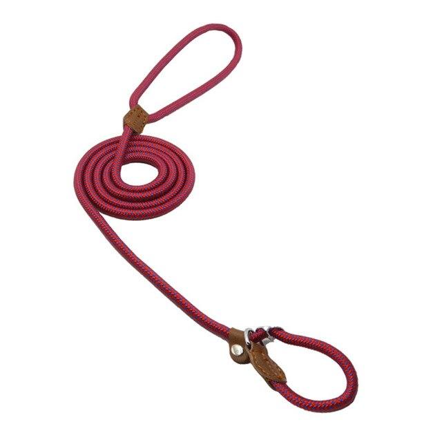 Durable Nylon Dog Collar Set for Stylish Adventures