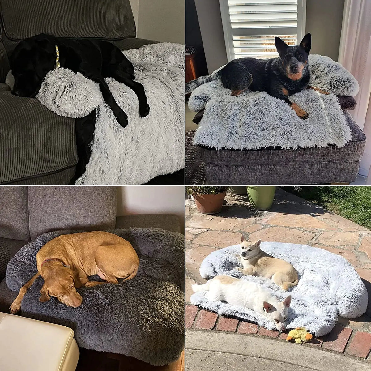 Transform Your Pet's Sleep with the Cozy Comfort of Our Pet Dog Bed Cushion