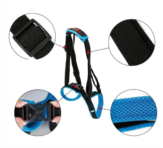 Pet Leg Support for Dogs - Enhanced Mobility and Comfort